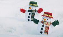 雪中的阳光_600字