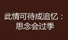 无成追忆暂怀念_300字