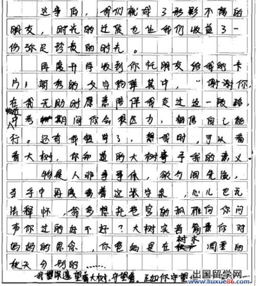 “硬化和伤害”在测试问题的中间测试中_2000字