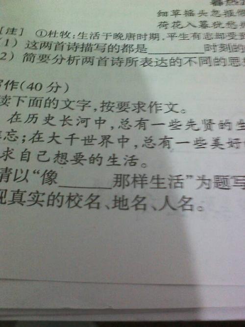 2010年测试半衰期组合作文趋势_1500字