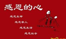 [感恩父母征文]感谢爸爸妈妈_750字