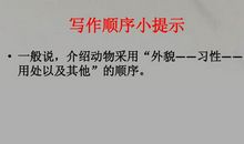 备战2011中考作文第十三讲：抓住特征 解说得法_3000字