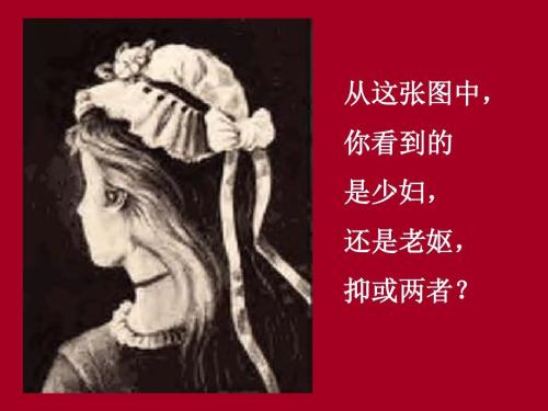 改变一个角度，看灯_800字