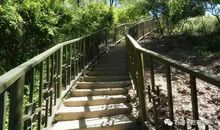 公园里的悄悄话_800字