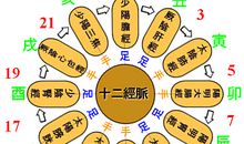 生理类常识集锦——人体十二脏