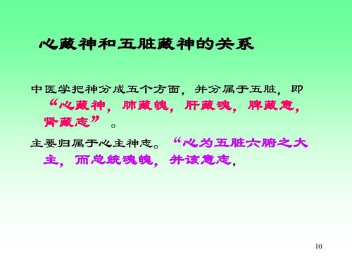 生理常识高礼物 - 六个内脏