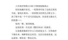 初二抒情散文：黑白_800字