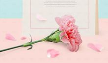 向青春大声地呼唤：thank you_800字