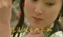 伴好书，迎世博，点滴留心中—— 红楼梦远，蕊冷香残_1200字