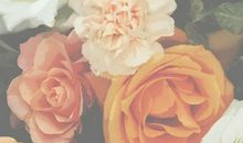 这样的疯子_700字