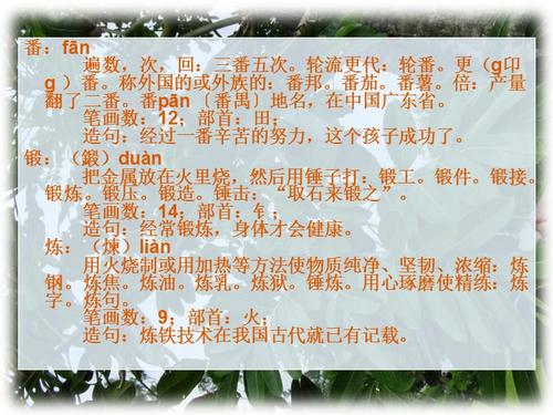 三年级阅读后：“桃花木”_600字