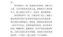 哥哥的爱好_600字