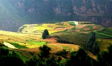 家乡的土地_450字