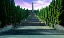 祭扫烈士墓_350字