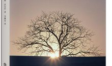 和上帝的对话_800字