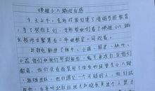 为圆自己梦，我们努力_750字