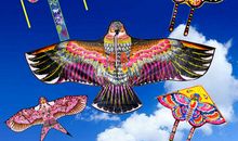 蝴蝶与鹰_1500字