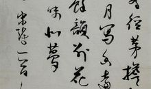 游击队巧捉鬼子官_450字