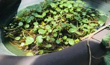 有意义的星期天_800字