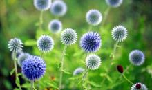 为自己喝彩_1500字