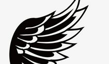 黑色的翅膀_650字