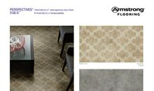 第一次擦地板_350字