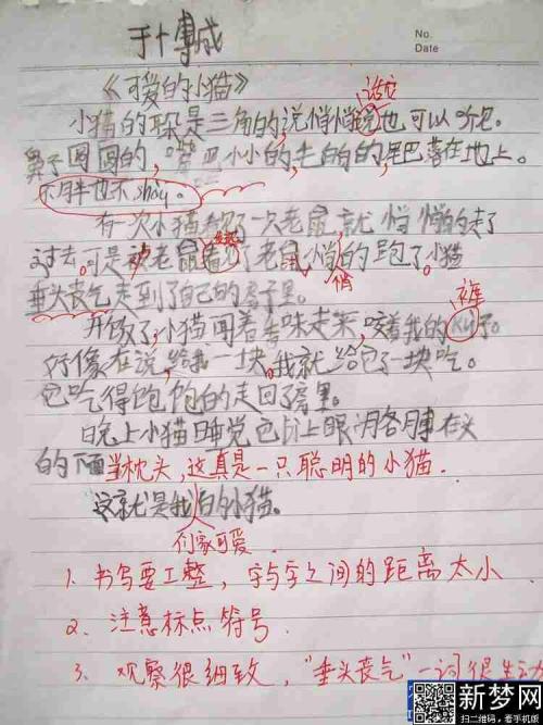 夏天的组成：夏天的正方形_500字