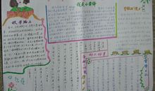 学雷锋手抄报（5）_20字