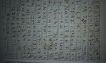 快乐的“五.一”_250字