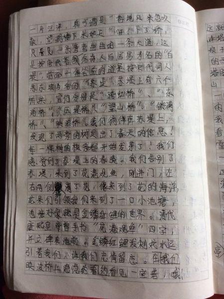 幻想的构图：我的快乐幻想_650字