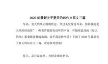 关于夏天的作文：夏天的风_800字