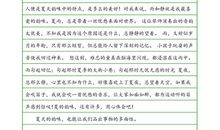 关于夏天的作文：夏天是一个精灵_800字