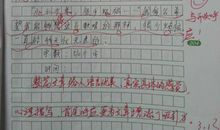 欢乐的学校_250字