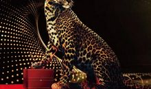 人最重要的财富——健康_800字