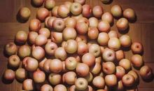 我真的近视了_900字