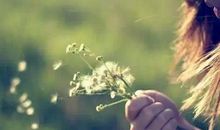 幸福就在身边_550字