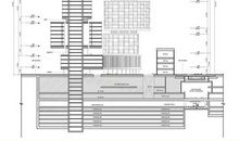 风雨交织的旋律_550字