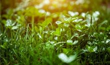 雨中的美景_500字