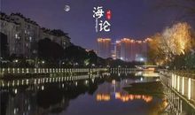 干河街的流浪猫_3000字