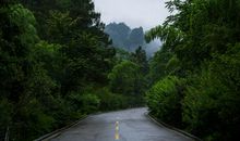 去往凤凰的旅途_2000字