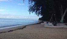 毛里求斯的永恒_1500字