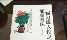 新区是一颗明珠_600字