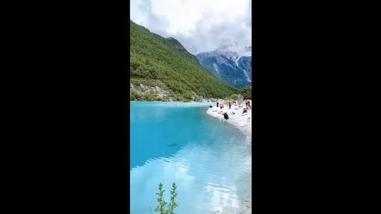 森林王国的大变化_600字
