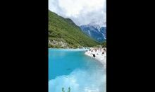 森林王国的大转变_600字