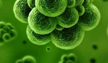 《抗癌的我》观后感_1200字