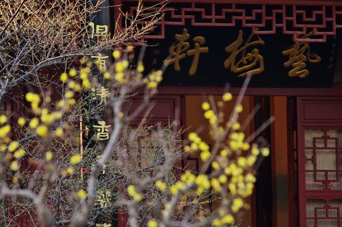 黑暗香水_200字