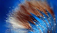 自然的信念_1200字