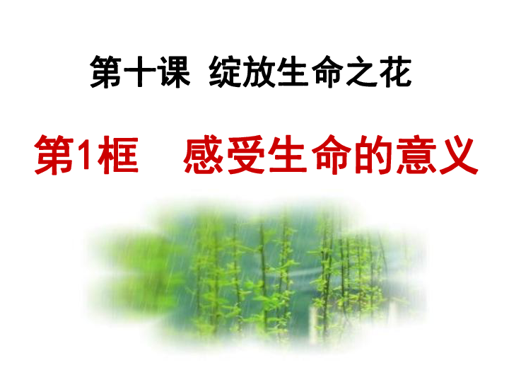 我是我_300字