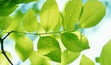 进退得当才能取得成功_700字