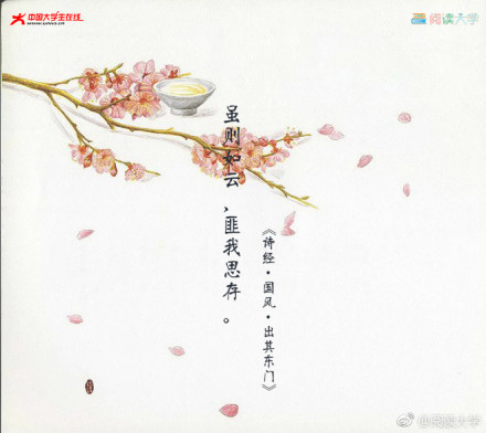 男子廷芳·得到南部的乔木不能想_100字